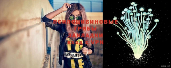 ГАЛЛЮЦИНОГЕННЫЕ ГРИБЫ Верея