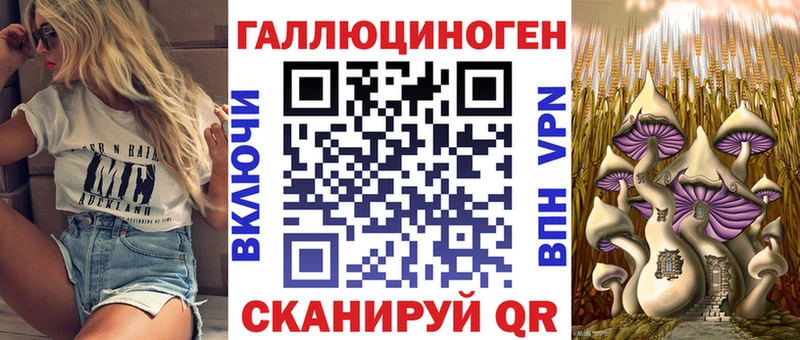 хочу   Липки  Галлюциногенные грибы Psilocybine cubensis 